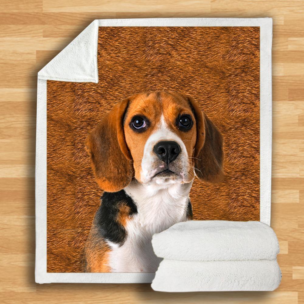 Beagle Blanket Beagle Blanket