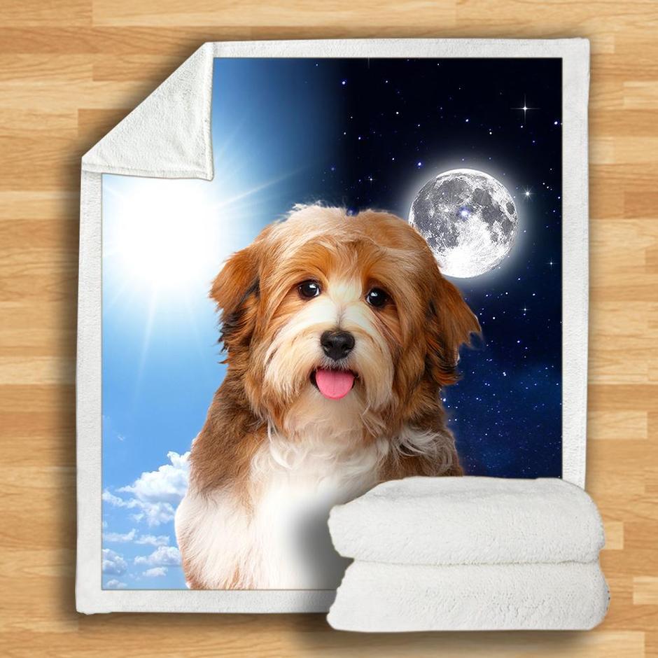 Havanese Blanket Havanese Blanket