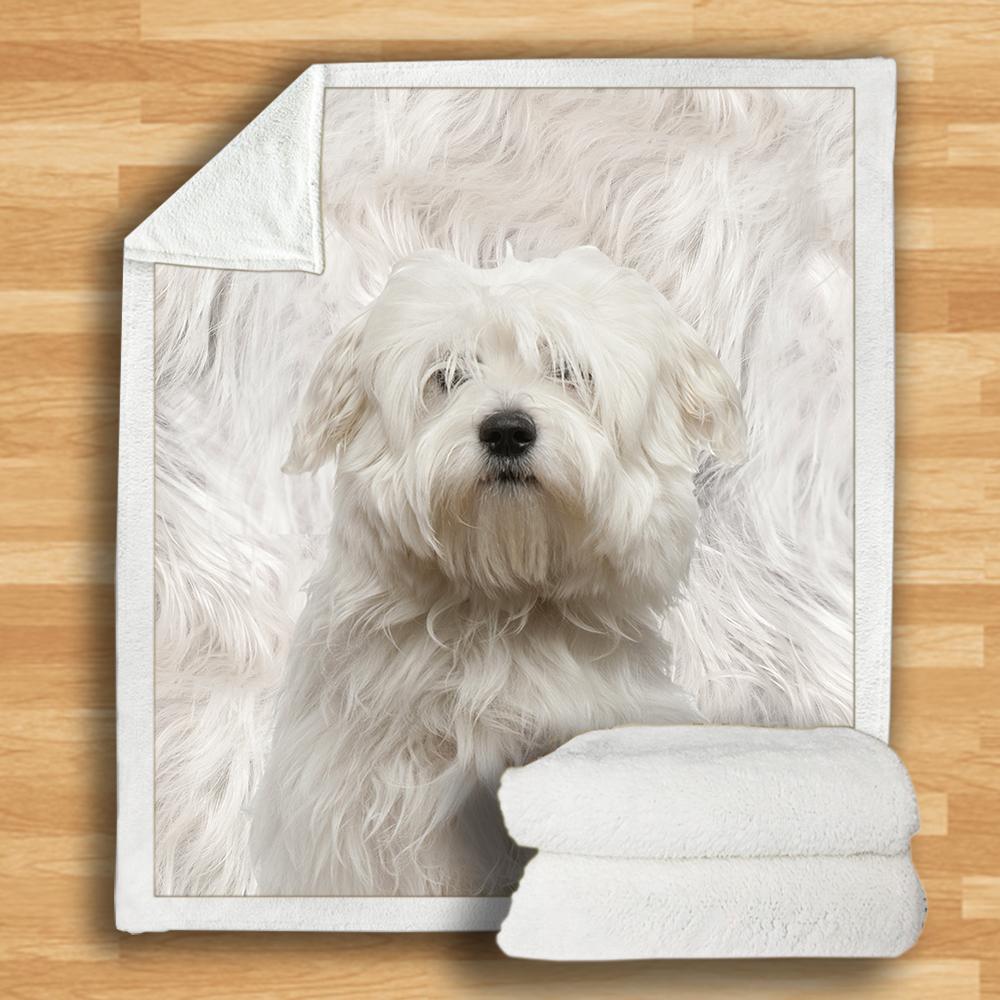 Coton De Tulear Blanket Coton De Tulear Blanket