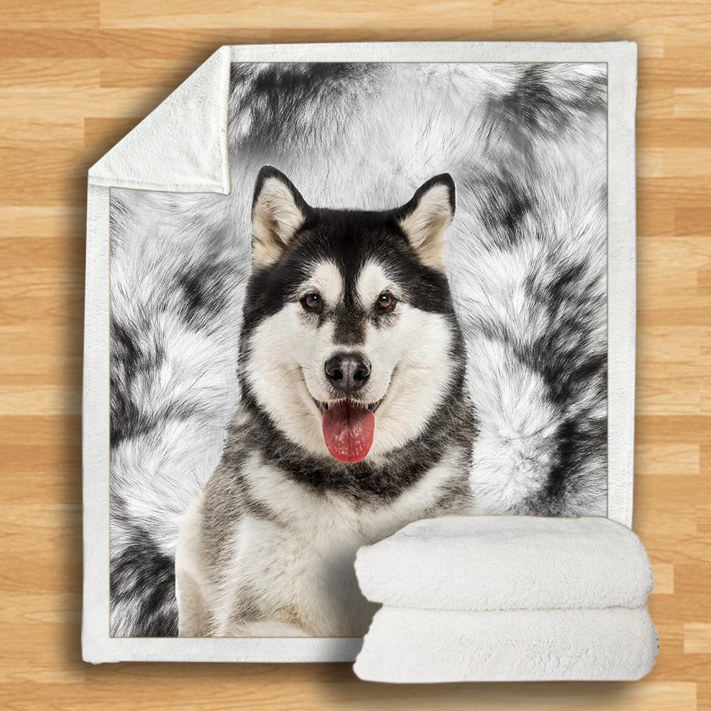 Alaskan Malamute Blanket Alaskan Malamute Blanket