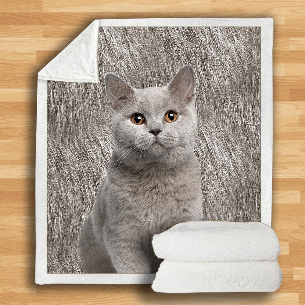 British Shorthair Blanket British Shorthair Blanket