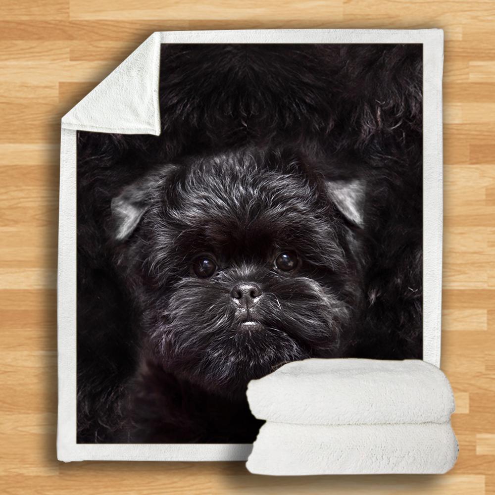 Affenpinscher Blanket Affenpinscher Blanket