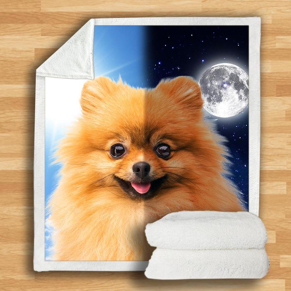Pomeranian Blanket Pomeranian Blanket
