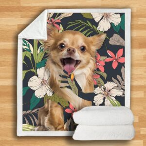 Chihuahua Blanket