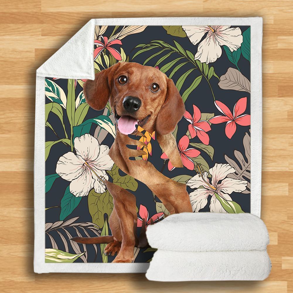 Dachshund Blanket Dachshund Blanket