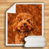Poodle Blanket