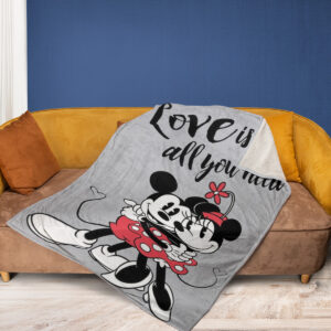 Mickey and Minnie Fan Gift
