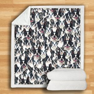 Boston Terrier Blanket