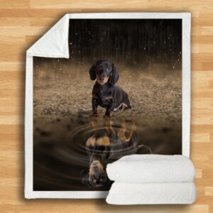Dachshund Blanket