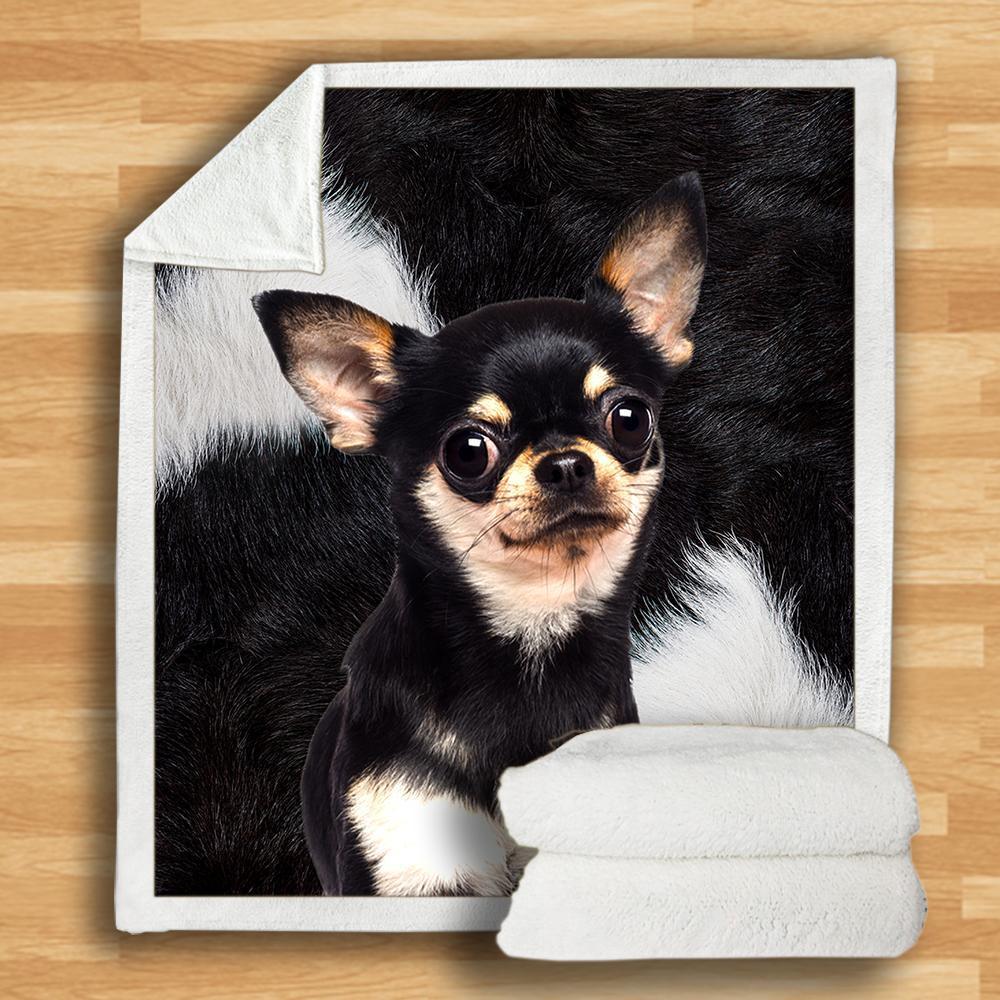 Chihuahua Blanket Chihuahua Blanket