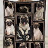 Pug Dog Picture Frames Ultra Soft Cozy Plush Fleece Blanket