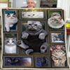 Huge Cat Blanket