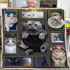 Huge Cat Blanket