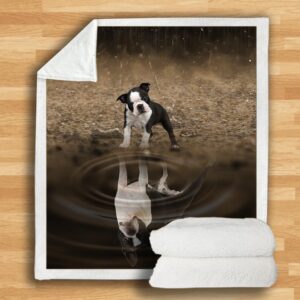 Boston Terrier Blanket