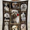 Shih Tzu Dog Picture Frames Ultra Soft Cozy Plush Fleece Blanket