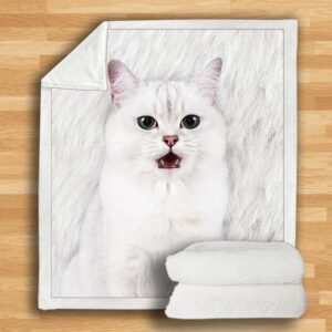 Burmilla Cat Blanket