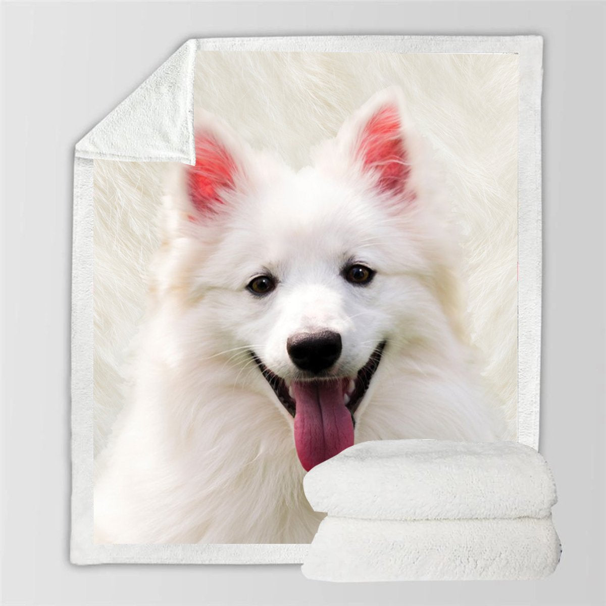 American Eskimo Blanket American Eskimo Blanket