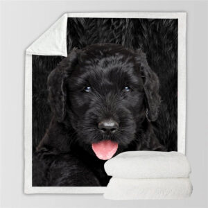 Black Russian Terrier Blanket