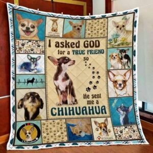 I Asked God For A True Friend So He Sent Me A Chihuahua Quilt Blanket