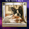 Love Boston Terrier Full Printing Blanket
