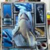 Huge Shark Blanket