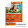Pokemon Arcanine Blanket