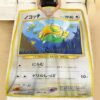 Pokemon Dunsparce Japanese Blanket