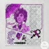 Prince Blanket Quilt