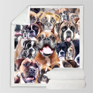 Boxer Blanket