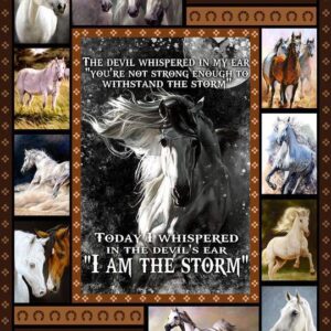 Horse Blanket