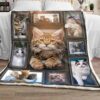 Rey Maine Coon Cat Blanket